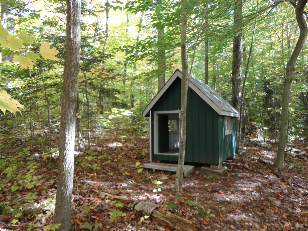 A tiny cabin, hidden in the forest. 